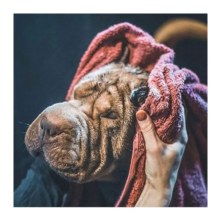 Shampoing - VETOCANIS - BIO000649 - Doux - Aloe Vera Lotus - Chien - 1