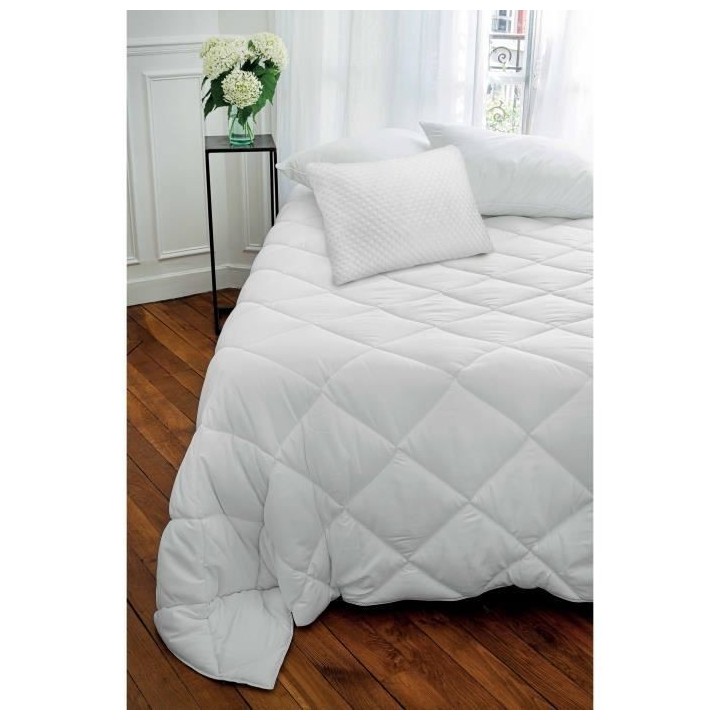 TOISON D'OR - Oreiller mémoire de forme - Memotec - Confort souple -