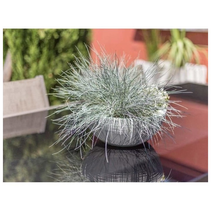 Pot de fleurs vasque Graphit'Up Ø 30 - 5,5L - Blanc cérusé - EDA PL