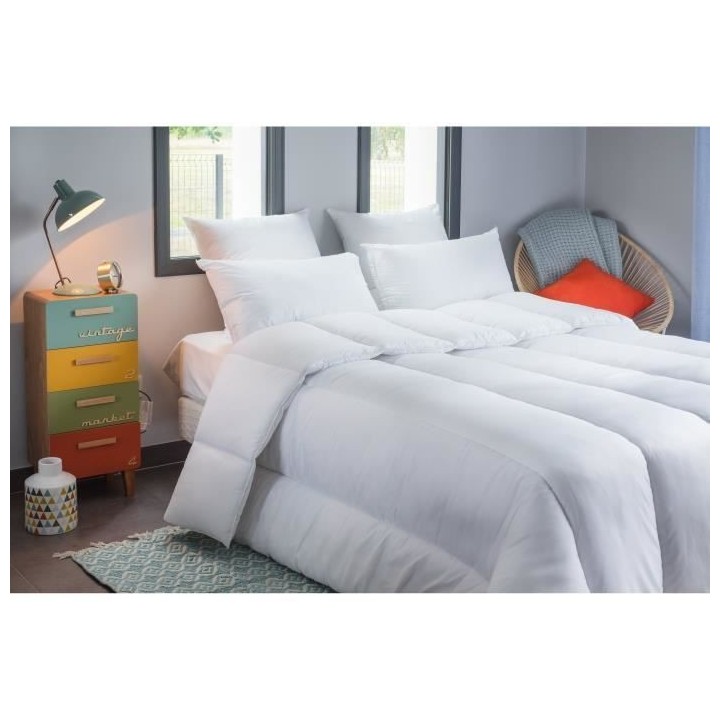 BLANREVE Couette tres chaude Percale - Anti-acariens - 420g/m² - 200x