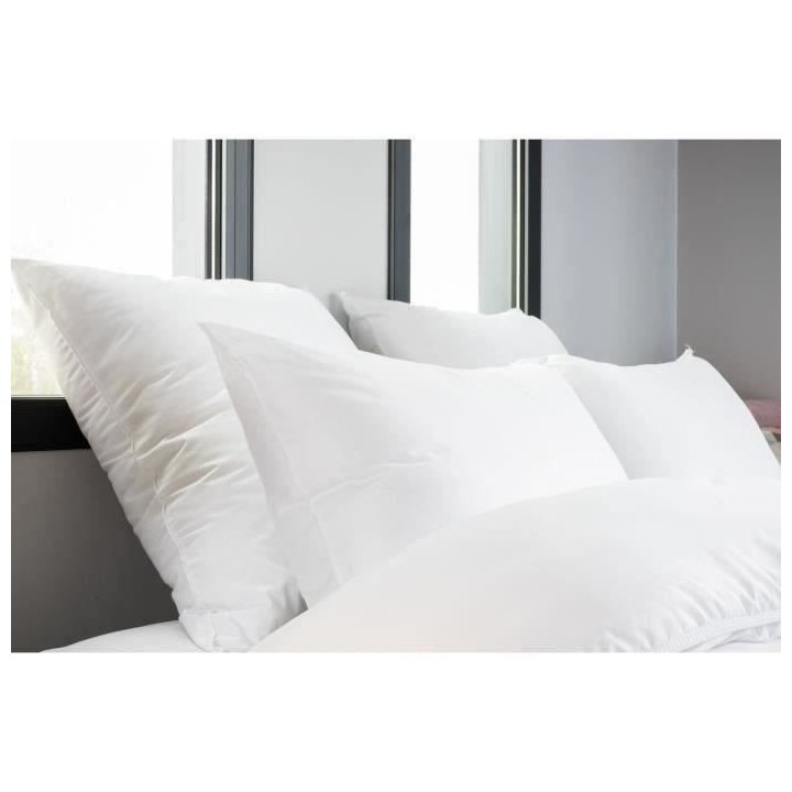 Lot de 4 oreillers - Finition bourdon apparent - 60x60 cm - BLANREVE