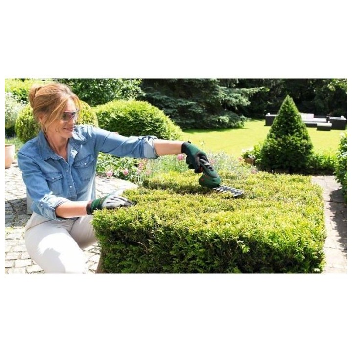 Cisailles - BOSCH - ISIO 3,6V avec set de 2 lames - Sculptez vos arbus