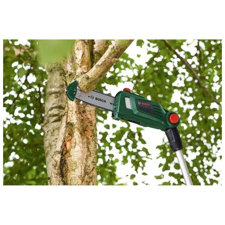 Elagueuse sur perche sans fil Bosch - UniversalChainPole 18 (Livré av