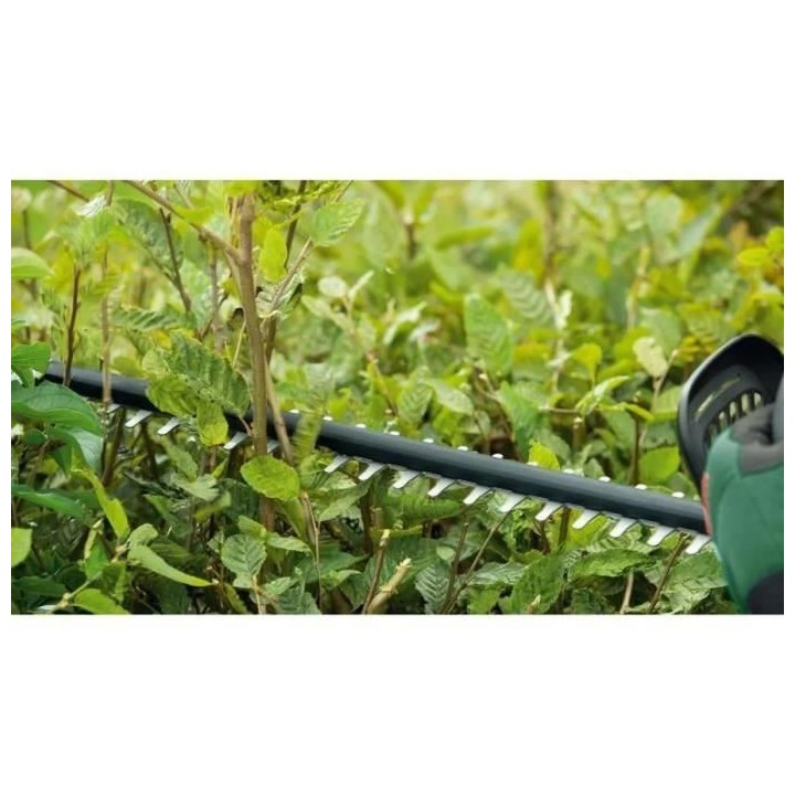 Taille-haies Bosch - UniversalHedgeCut 18V-55 (livré avec 2 batteries