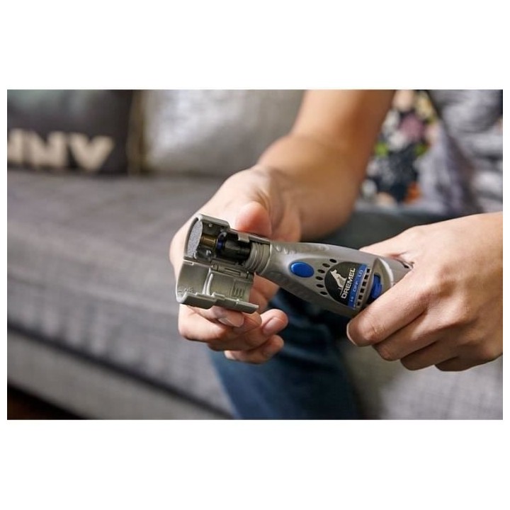 Lot de 10 Disques pour Limer et Poncer les Griffes des Animaux Domesti