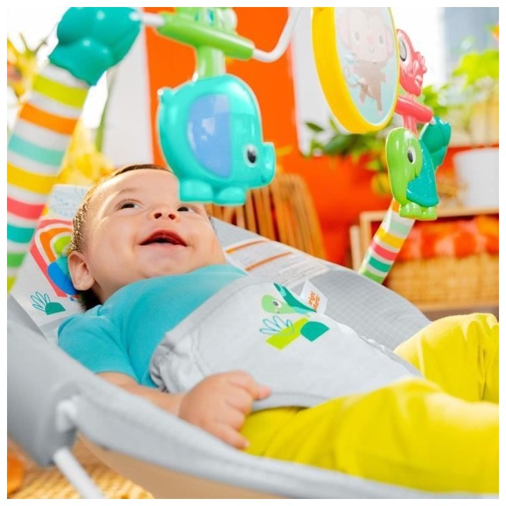 BRIGHT STARTS Transat bébé Animaux, Vibrations apaisantes, Arche d'