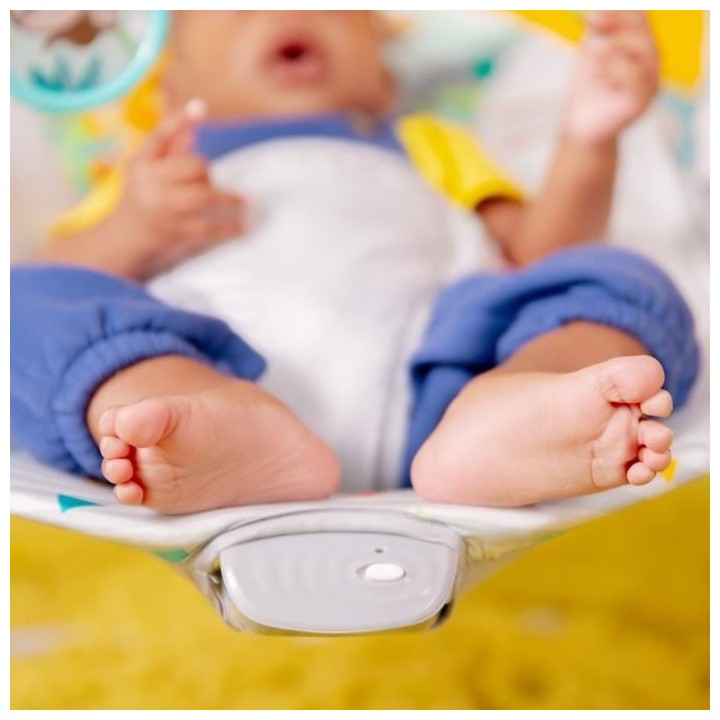 BRIGHT STARTS Transat bébé Safari, Vibrations apaisantes, Arche d'é