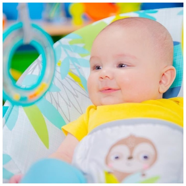 BRIGHT STARTS Transat bébé Toucan, Vibrations apaisantes, Arche d'é