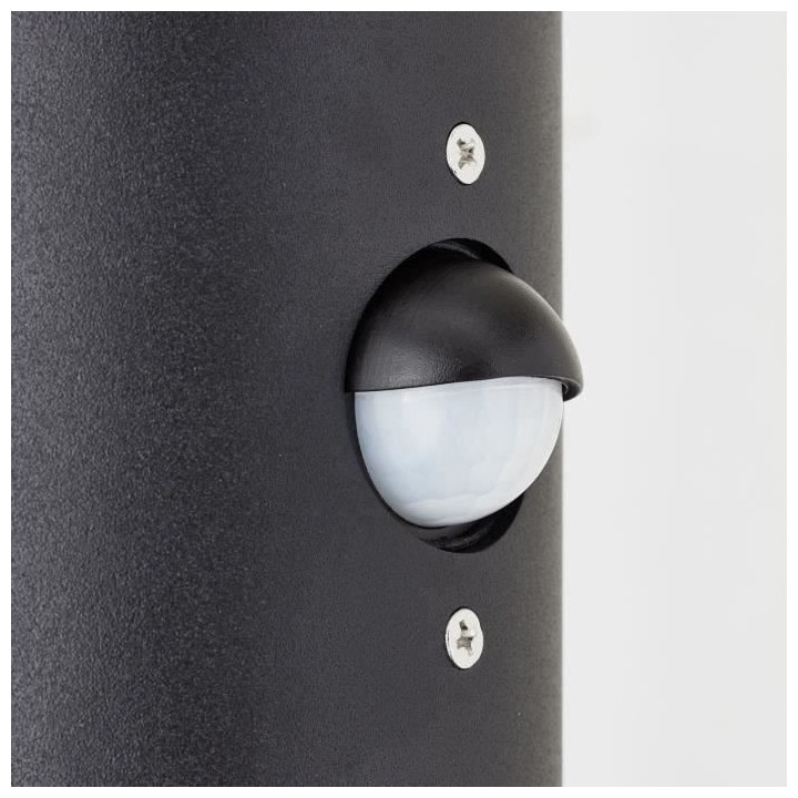 Applique extérieure SERGIORO - BRILLIANT - 2L avec détecteur - noir