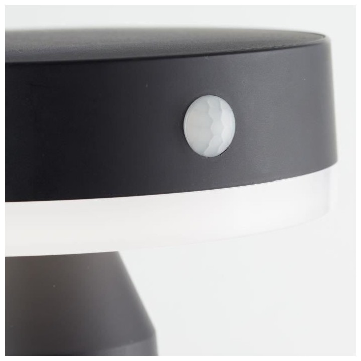 Applique extérieure - BRILLIANT - MAGUA - LED et solaire - Métal et