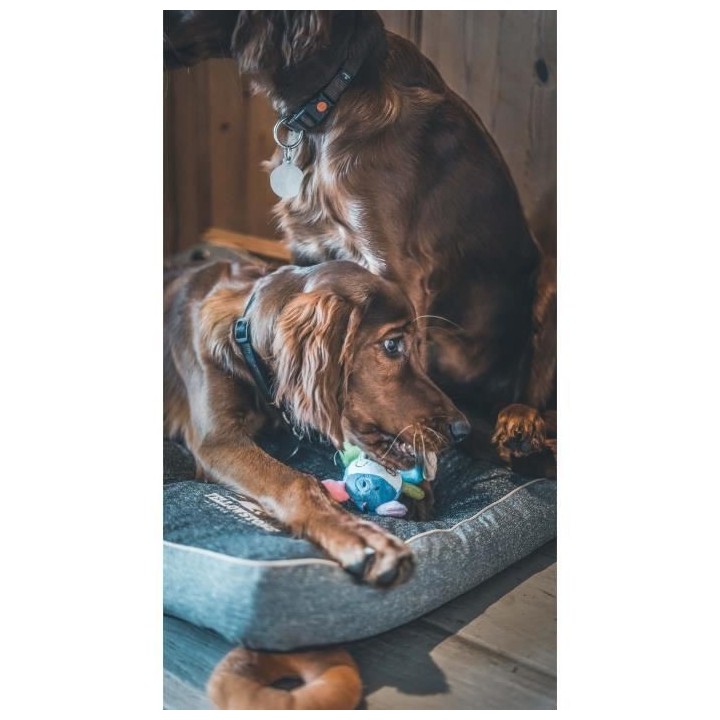 AIME Mini Jouet peluche vache - Pour chien