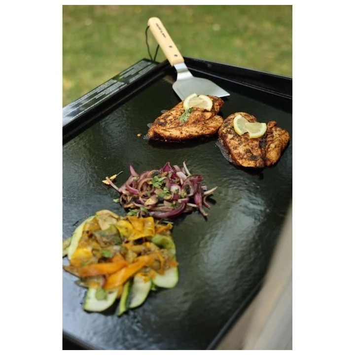 Plancha gaz FINESTA 2 brûleurs inox - Allumage intégré - Cuve acier