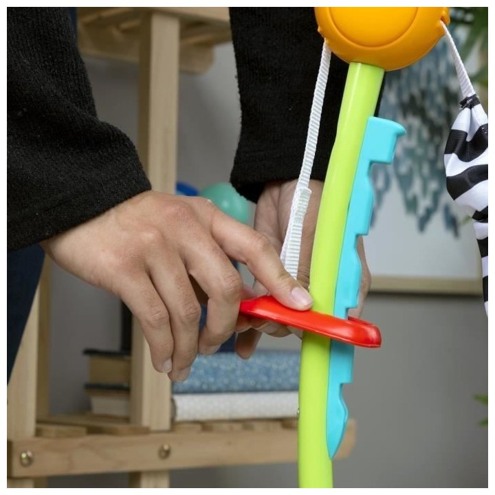 BABY EINSTEIN Ocean Explorers Curiosity Cove aire d'éveil éducative