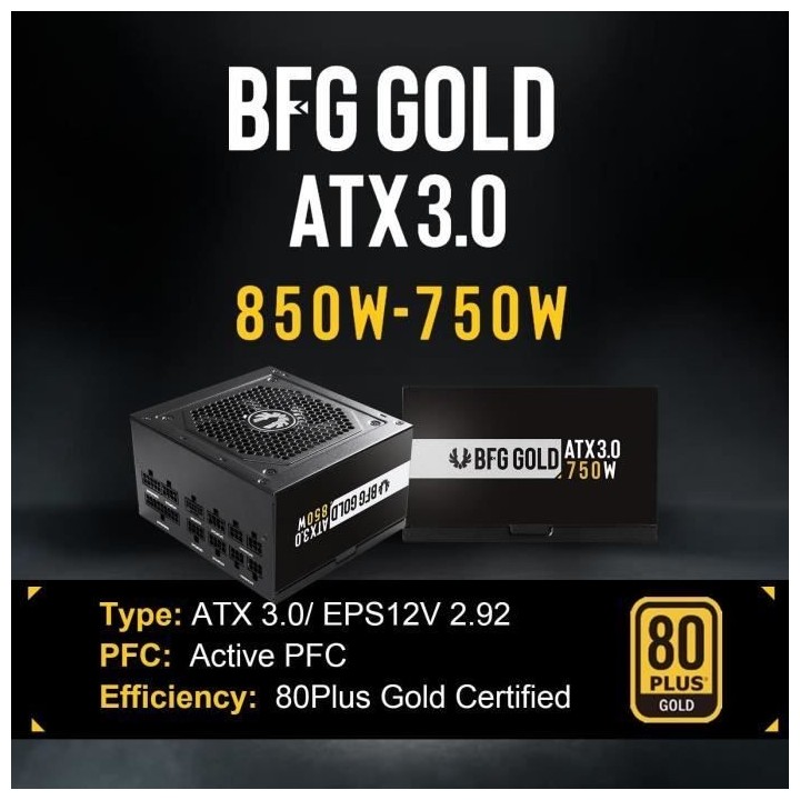 BITFENIX BFG GOLD 850W (80+ Gold) ATX 3.0 - Alimentation PC - 850W