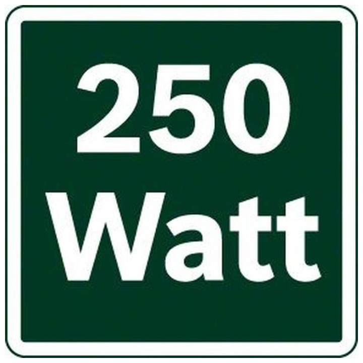 Ponceuse vibrante - BOSCH - PSS 300 AE Microfiltre - Filaire - 250W -