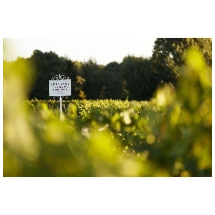 Coffret Médailles d'Or de Bordeaux : Château du Lort, La Croix Montl