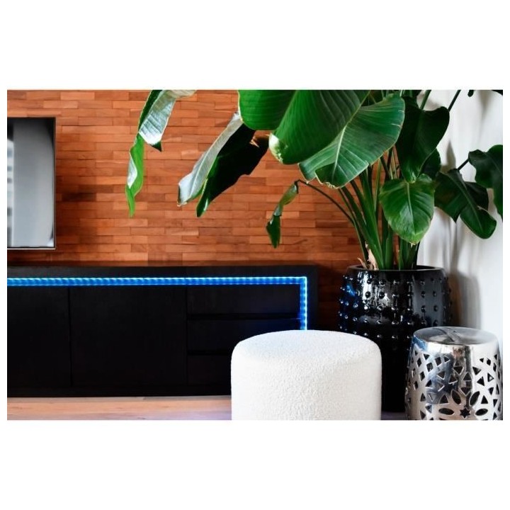 CALEX - Smart LED Ruban 5M 24W 1200lm RGBCCT 2700-6500K + Telecommande