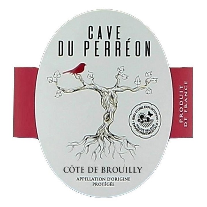 Cave du Pérréon 2022 Côte de Brouilly - Vin rouge de Beaujolais