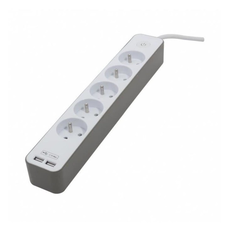 CHACON Bloc multiprise 5 prises 16 A avec 2 ports USB et câble 1,5 m