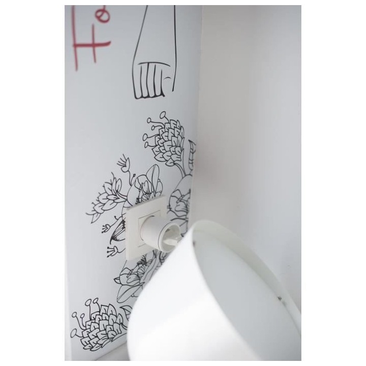 CHACON Kit 2 prises nano et télécommande -DiO (2300W, FR)