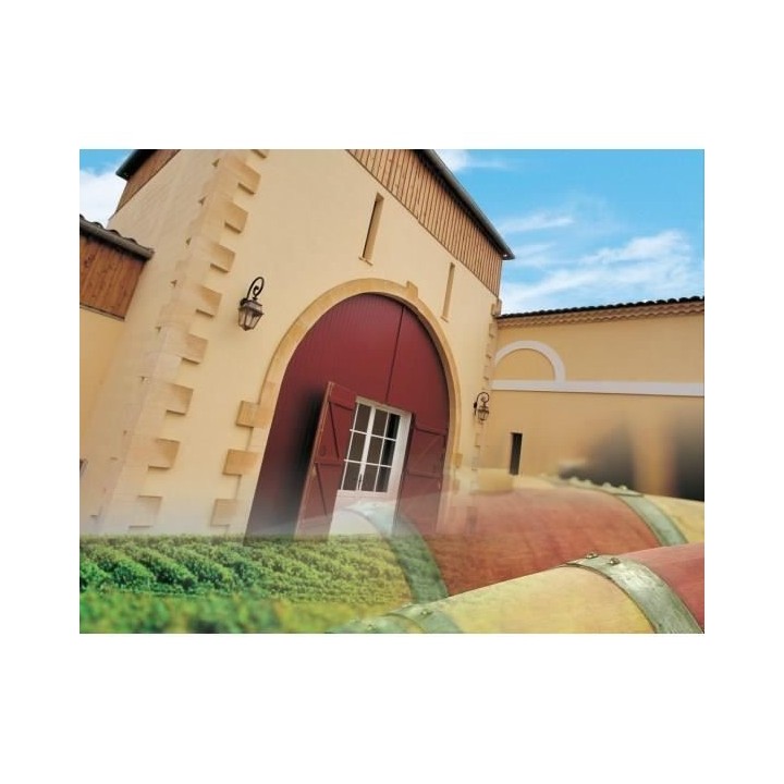 Château Haut Vigneau 2017 Péssac Léognan - Vin rouge de Bordeaux