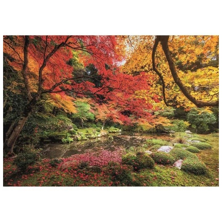 Clementoni - Puzzle paysage et nature - Autumn Park - 1500 pieces - Di