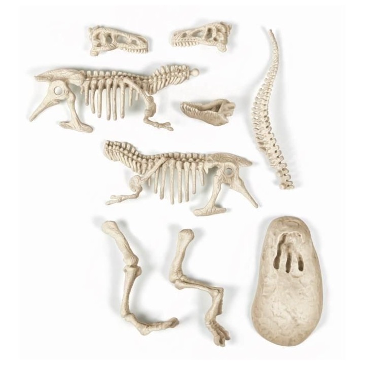 Clementoni - Science & Jeu - Archéo Ludic - T-Rex