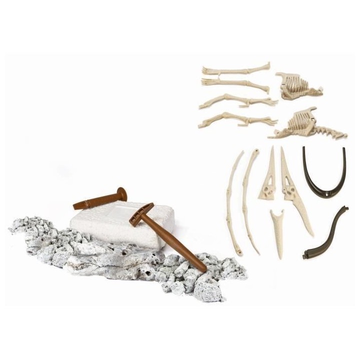 Clementoni - Science & Jeu - Archéo Ludic - Ptéranodon