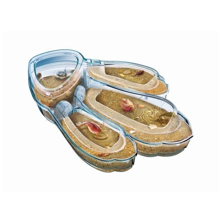 Clementoni - Science & Jeu - Triops