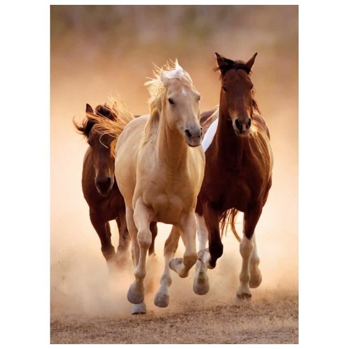 Clementoni - Puzzle - Chevaux sauvages - 1000 pieces - 67,7 x 47,7 cm