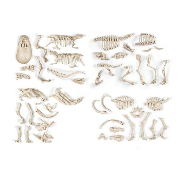 Clementoni - Science & Jeu - Archéo Ludic - Proies et Prédateurs