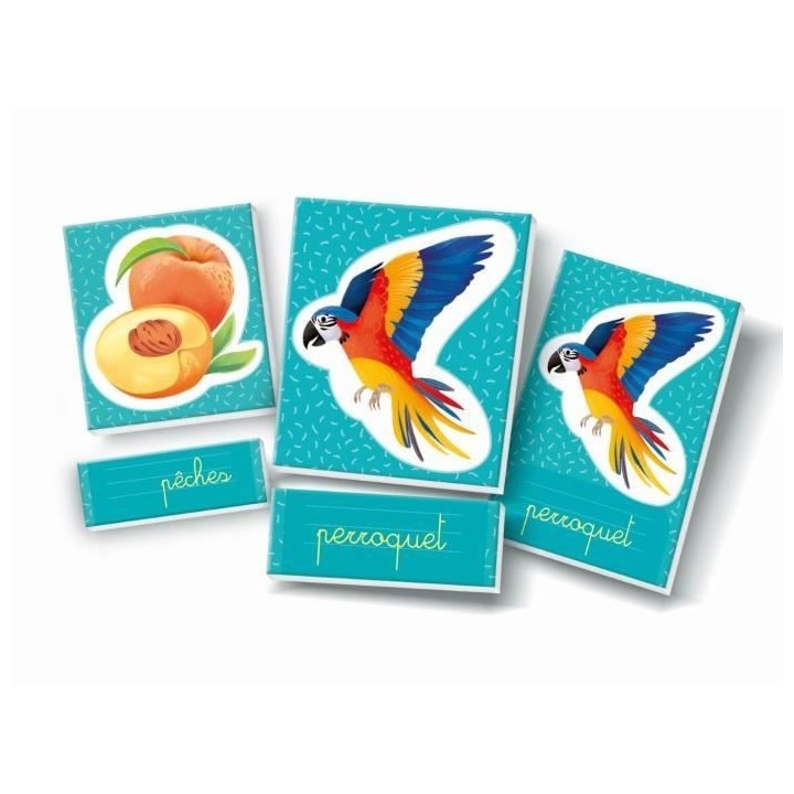 Montessori - Clementoni - Les mots en images - Jeu éducatif développ