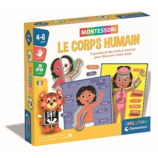Montessori - Clementoni - Le Corps Humain - Jeu éducatif pour apprend