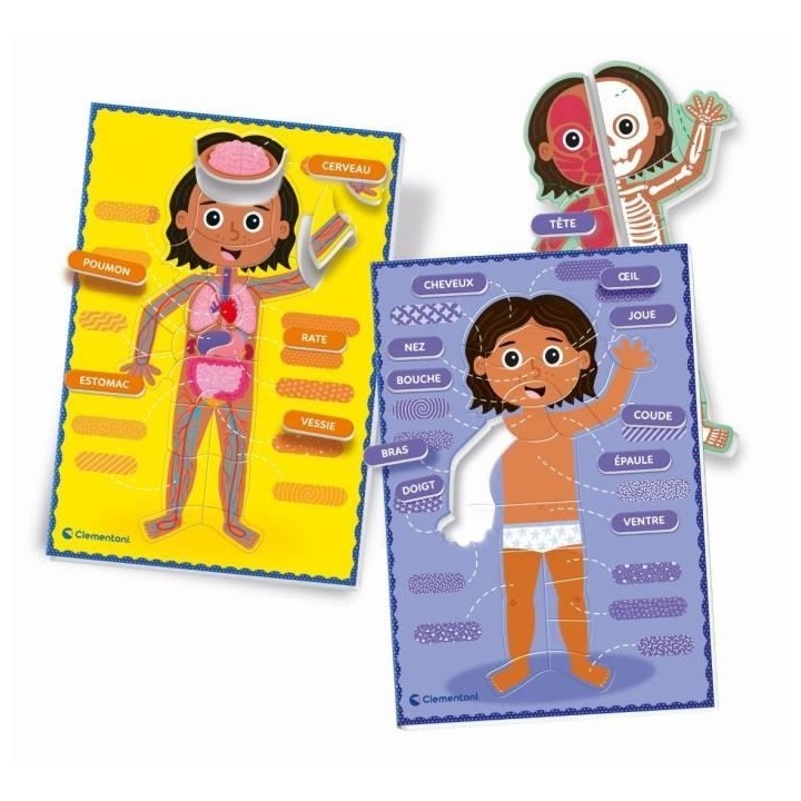 Montessori - Clementoni - Le Corps Humain - Jeu éducatif pour apprend