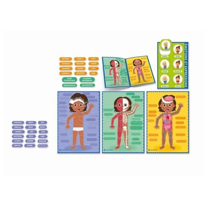 Montessori - Clementoni - Le Corps Humain - Jeu éducatif pour apprend