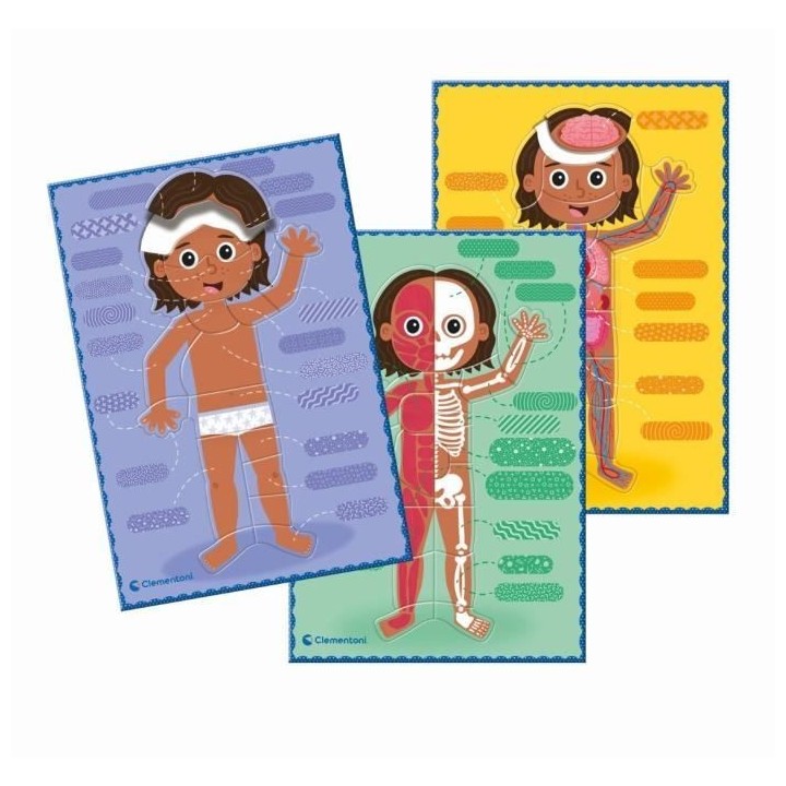 Montessori - Clementoni - Le Corps Humain - Jeu éducatif pour apprend