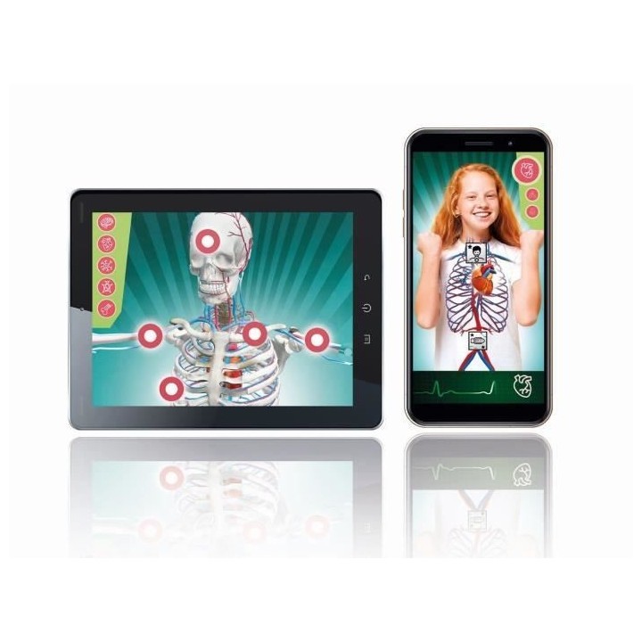 Clementoni - Coffret apprentissage de l'anatomie en 3D - Squelette, mo