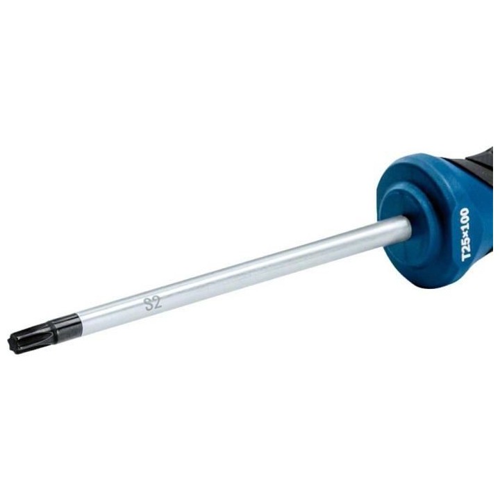 Tournevis TX 25x100