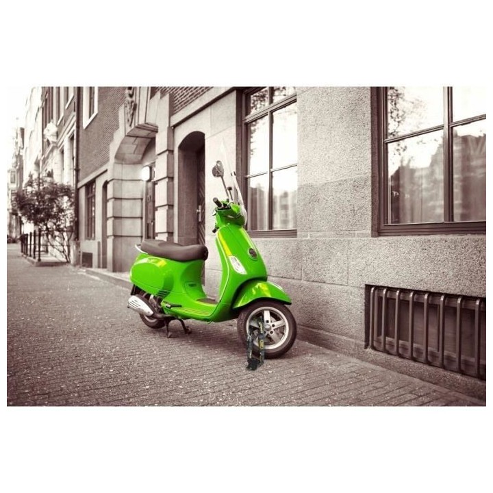 Ancre de sécurité - BURG WACHTER - SA 1280 SB - Acier, fixation mura