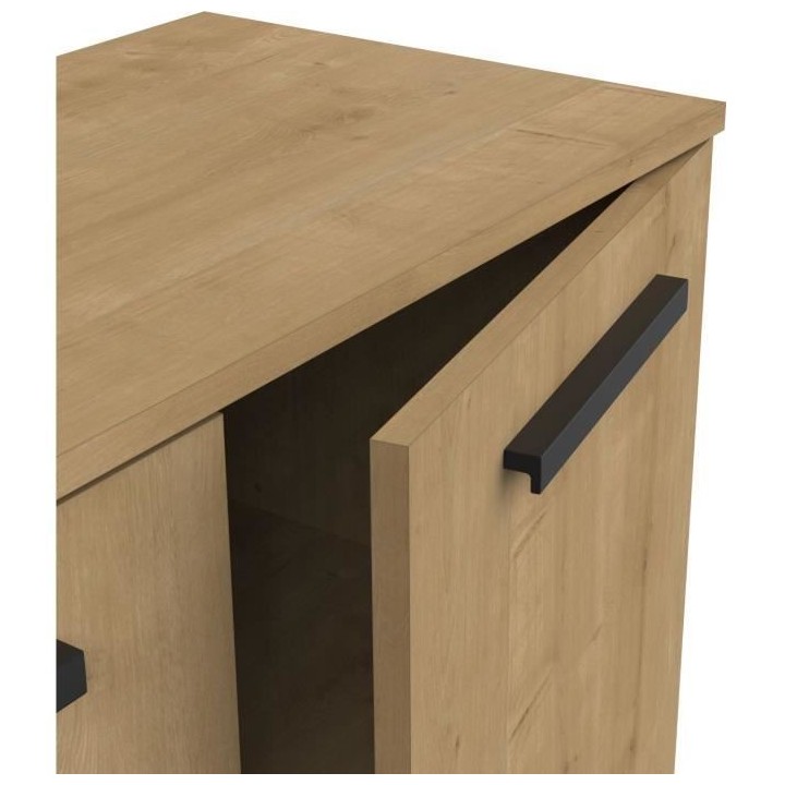 Meuble de rangement - Entrée - 2 portes ouvrantes - Chene hamilton -