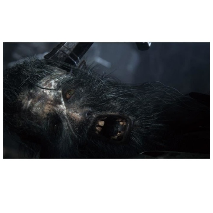 Bloodborne PlayStation Hits Jeu PS4