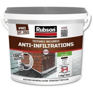 RUBSON Anti-infiltrations Toutes Toitures Gris 1kg