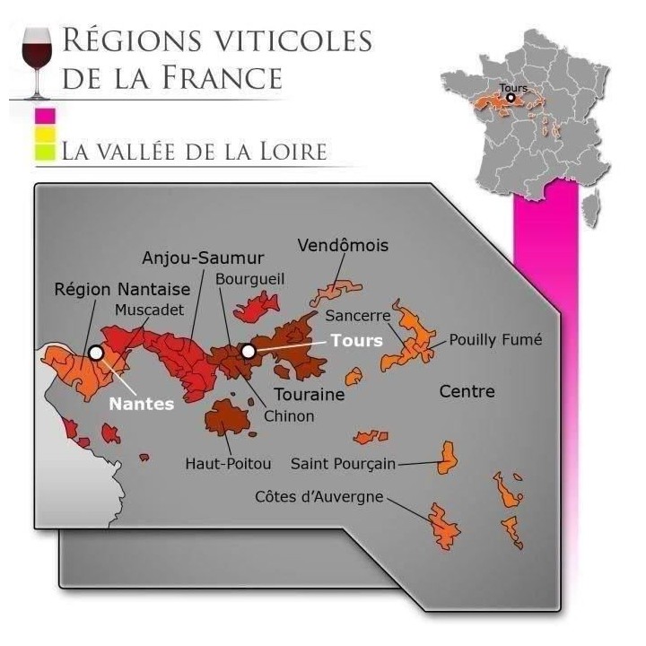 Château Haute Cariziere 2016 Muscadet Sevre et Maine - Vin blanc de L