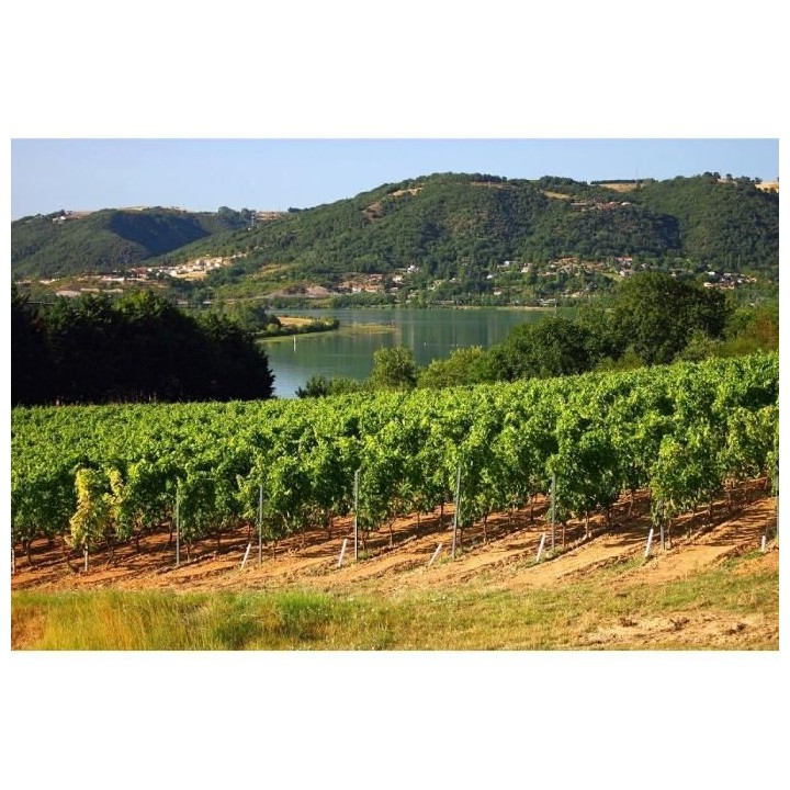 Les Combes de Saint-Sauveur 2022/2023 Côtes du Rhône Village Plan de