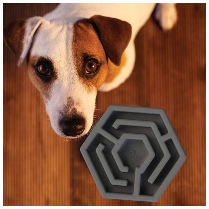 Gamelle anti glouton - Gris - Pour chien