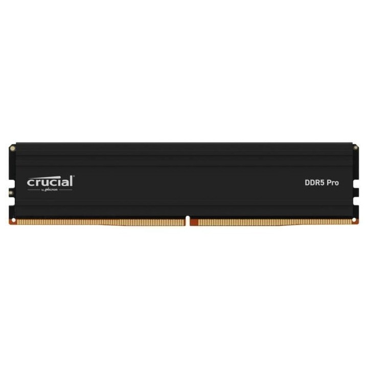 Mémoire RAM - CRUCIAL - PRO DDR5 - 24Go - DDR5-6000 - UDIMM CL48 (CP2