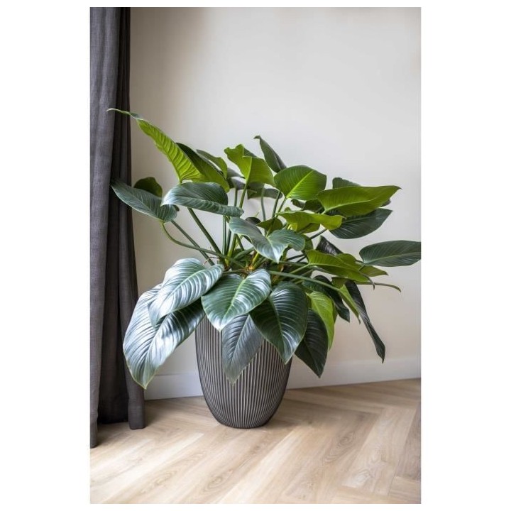 Vase élégant bas - CAPI EUROPE - GROOVE NL - 34 x 46 cm - Anthracite