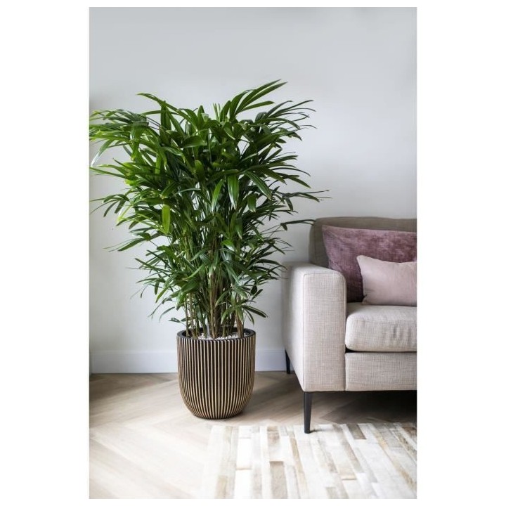 Pot de fleur boule - CAPI EUROPE - GROOVE NL - 35 x 34 cm - Noir / Or