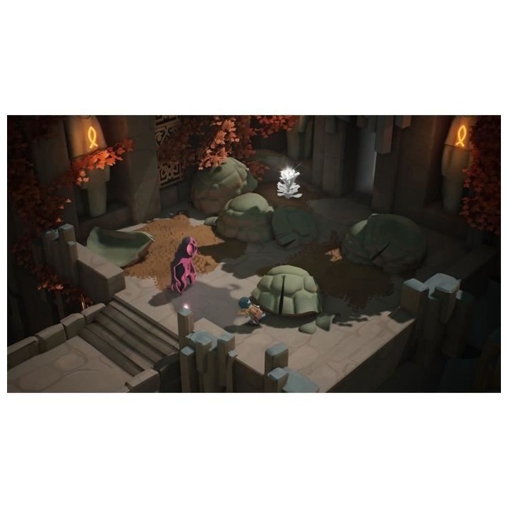 Selfloss - Jeu Nintendo Switch