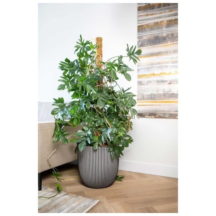 Pot de fleur boule - CAPI EUROPE - GROOVE NL - 43 x 41 cm - Anthracite